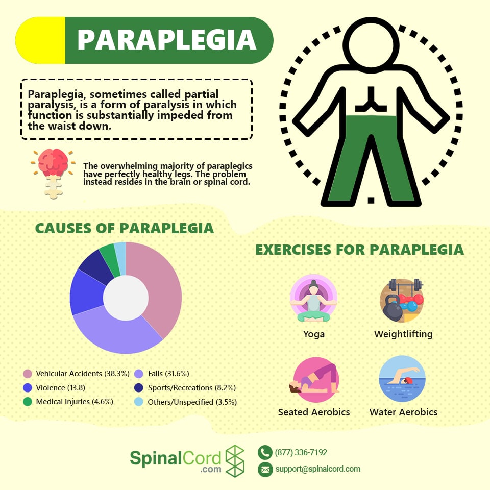 Paraplegia, Paraplegic Definition, Causes, Symptoms and Treatment